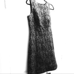 LOFT business casual work dress